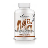 MAGNESIO + VITAMINA B6 LIB.SOSTENIDA 120COMP