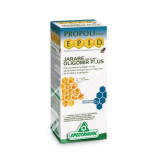OLIGOMIR PROPOLI 170ML