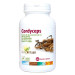 CORDYCEPS 500MG 60 CAPS - SURA VITASAN