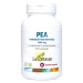 PEA PALMITOILETANOLAMIDA 60CAP - SURA VITASAN