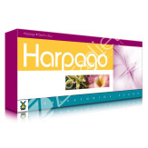 HARPAGO 20 MARLOWE 20 VIALES