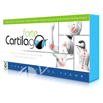 CARTILAGOR FORTE 40CAP
