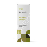 EUCALIPTO GLOBULUS 30ML