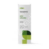 PINO SILVESTRE 10ML
