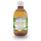 MELISA HIDROLATO BIO 250ML