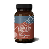 DONG QUAI Y BROTES DE SOJA COMPLEX 100CAP