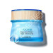 CREMA ICELAND AQUA 60 ml PIEL NORMAL SECA - THE SAEM