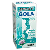 SPRAY GOLA 25ML