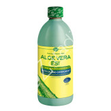 ALOE VERA ZUMO 1L