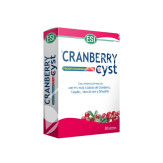 CRAMBERRY CYST ARANDANO 30TAB
