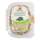 GERMINADOS COL KALE BIO 70G