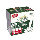 BEBIDA ARROZ FAMILY PACK 1L - VITARIZ