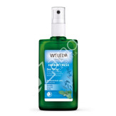 DESODORANTE SPRAY SALVIA HERBAL FRESH 100ML