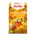 TE PUMPKIN CALABAZA CHAI 17FILTROS - YOGI