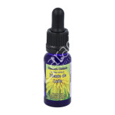 DIENTE DE LEON 30ML (TARAXACUM LUZ)