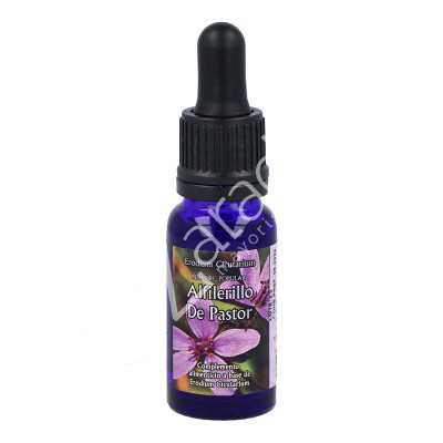 ALFILERILLO PASTOR LUZ 30ML