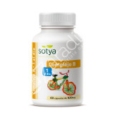 COMPLEJO B 600MG 60CAP