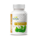 GINKGO BILOBA 700MG 100COMP
