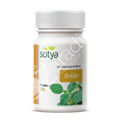BOLDO 500 MG 100 COMP