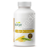 LEVADURA CERVEZA GERMEN TRIGO 600MG 225COMP