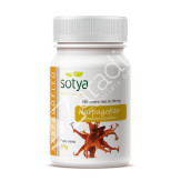 HARPAGOFITO 500MG 100COMP