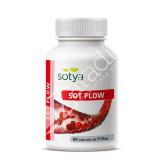 SOT-FLOW 510 MG 60 CAP