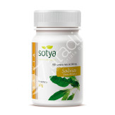 SALVIA 100 COMP