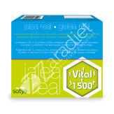 JALEA REAL VITAL 1500 10ML 20AMP VIDRIO