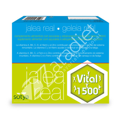JALEA REAL VITAL 1500 10ML 20AMP VIDRIO