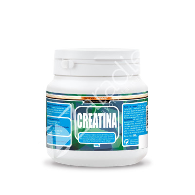 CREATINA 350G POLVO