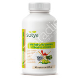 CAFE VERDE + GARCINIA 650MG 90 CAP