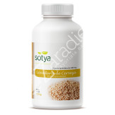 LEVADURA CERVEZA 500MG 250COMP
