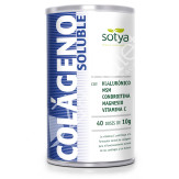 COLAGENO ACIDO HIALURONICO MSM 400G