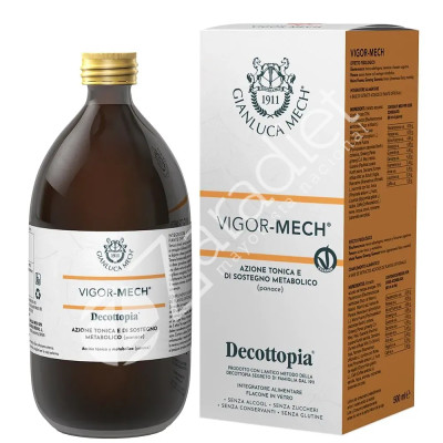VIGOR MECH 500ML - DECOTTOPIA