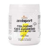 COLÁGENO CON MAGNESIO + VITAMINA C + VITAMINA B1 FRESA 350G POLVO- AMLSPORT