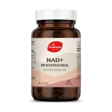 NAD + RESVERATROL 60CAP - EL GRANERO