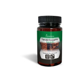 CAPSUDIET HARPAGOFITO 40CAP - PLAMECA