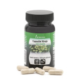 Capsudiet Hinojo 40 Cápsulas Vegetales Plameca